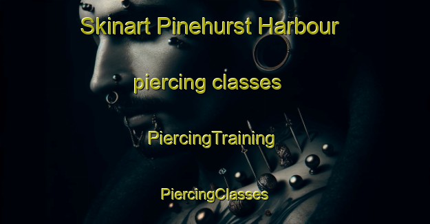 Skinart Pinehurst Harbour piercing classes | #PiercingTraining #PiercingClasses #SkinartTraining-United States