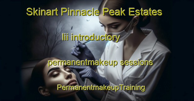 Skinart Pinnacle Peak Estates Iii introductory permanentmakeup sessions | #PermanentmakeupTraining #PermanentmakeupClasses #SkinartTraining-United States