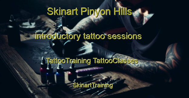 Skinart Pinyon Hills introductory tattoo sessions | #TattooTraining #TattooClasses #SkinartTraining-United States