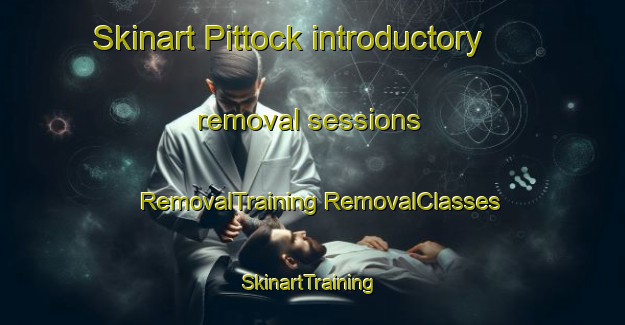 Skinart Pittock introductory removal sessions | #RemovalTraining #RemovalClasses #SkinartTraining-United States