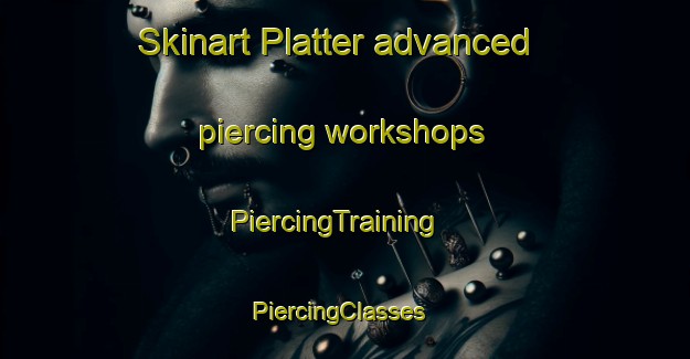 Skinart Platter advanced piercing workshops | PiercingTraining | PiercingClasses | SkinartTraining-United States