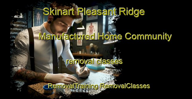 Skinart Pleasant Ridge Manufactured Home Community removal classes | #RemovalTraining #RemovalClasses #SkinartTraining-United States