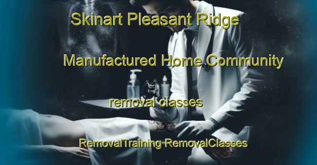 Skinart Pleasant Ridge Manufactured Home Community removal classes | #RemovalTraining #RemovalClasses #SkinartTraining-United States