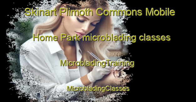 Skinart Plimoth Commons Mobile Home Park microblading classes | #MicrobladingTraining #MicrobladingClasses #SkinartTraining-United States