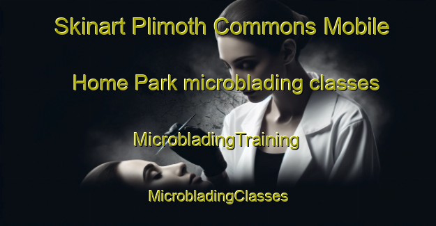 Skinart Plimoth Commons Mobile Home Park microblading classes | #MicrobladingTraining #MicrobladingClasses #SkinartTraining-United States