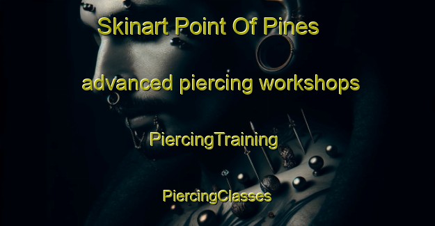 Skinart Point Of Pines advanced piercing workshops | #PiercingTraining #PiercingClasses #SkinartTraining-United States