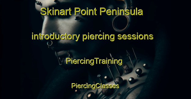 Skinart Point Peninsula introductory piercing sessions | #PiercingTraining #PiercingClasses #SkinartTraining-United States