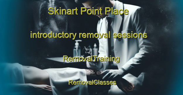 Skinart Point Place introductory removal sessions | RemovalTraining | RemovalClasses | SkinartTraining-United States