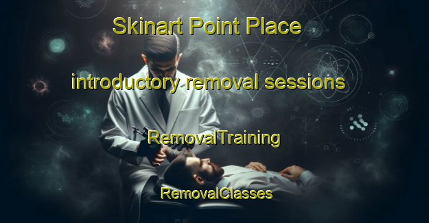 Skinart Point Place introductory removal sessions | RemovalTraining | RemovalClasses | SkinartTraining-United States