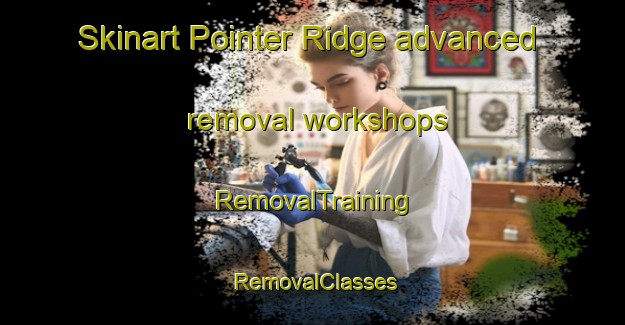Skinart Pointer Ridge advanced removal workshops | RemovalTraining | RemovalClasses | SkinartTraining-United States