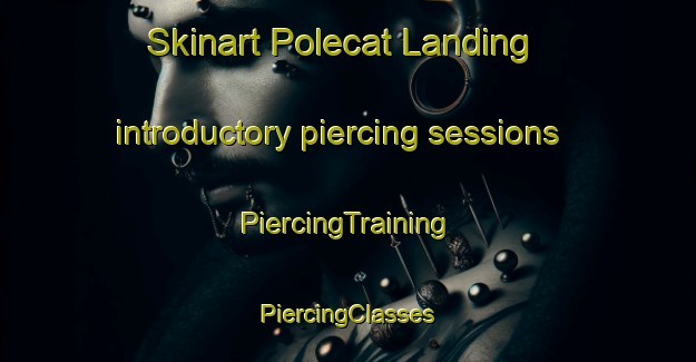 Skinart Polecat Landing introductory piercing sessions | #PiercingTraining #PiercingClasses #SkinartTraining-United States