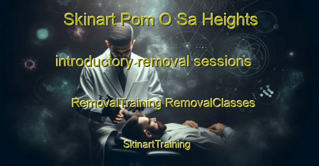 Skinart Pom O Sa Heights introductory removal sessions | #RemovalTraining #RemovalClasses #SkinartTraining-United States