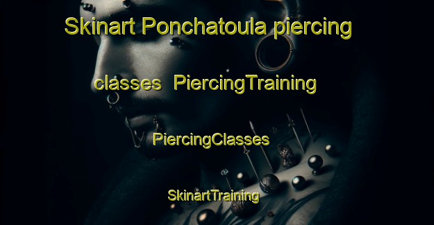 Skinart Ponchatoula piercing classes | PiercingTraining | PiercingClasses | SkinartTraining-United States