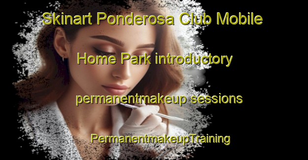 Skinart Ponderosa Club Mobile Home Park introductory permanentmakeup sessions | #PermanentmakeupTraining #PermanentmakeupClasses #SkinartTraining-United States