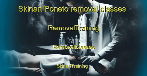Skinart Poneto removal classes | RemovalTraining | RemovalClasses | SkinartTraining-United States
