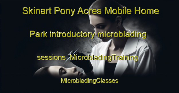 Skinart Pony Acres Mobile Home Park introductory microblading sessions | #MicrobladingTraining #MicrobladingClasses #SkinartTraining-United States