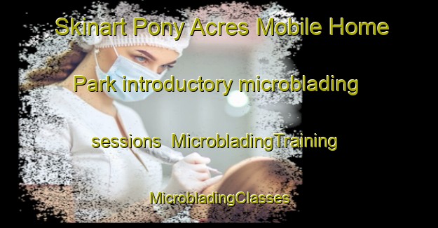 Skinart Pony Acres Mobile Home Park introductory microblading sessions | #MicrobladingTraining #MicrobladingClasses #SkinartTraining-United States