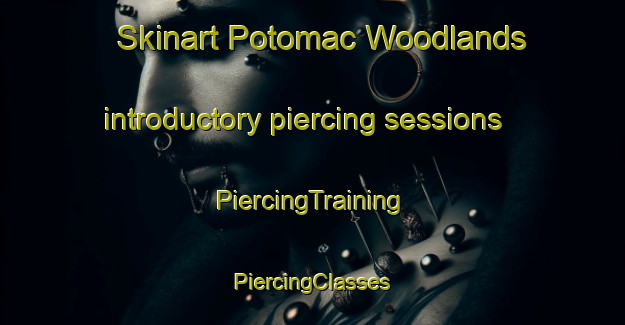 Skinart Potomac Woodlands introductory piercing sessions | #PiercingTraining #PiercingClasses #SkinartTraining-United States