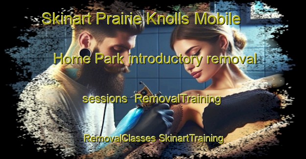 Skinart Prairie Knolls Mobile Home Park introductory removal sessions | #RemovalTraining #RemovalClasses #SkinartTraining-United States