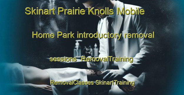 Skinart Prairie Knolls Mobile Home Park introductory removal sessions | #RemovalTraining #RemovalClasses #SkinartTraining-United States