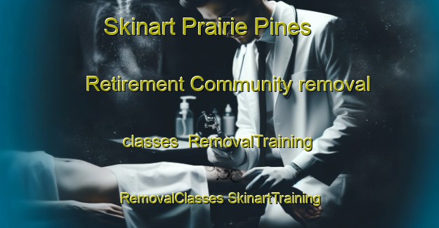 Skinart Prairie Pines Retirement Community removal classes | #RemovalTraining #RemovalClasses #SkinartTraining-United States