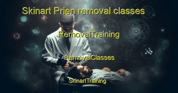 Skinart Prien removal classes | RemovalTraining | RemovalClasses | SkinartTraining-United States