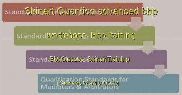 Skinart Quantico advanced bbp workshops | BbpTraining | BbpClasses | SkinartTraining-United States