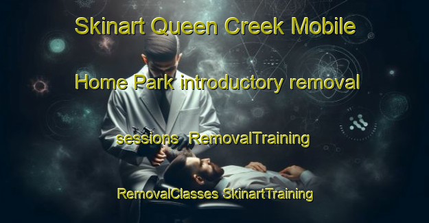 Skinart Queen Creek Mobile Home Park introductory removal sessions | #RemovalTraining #RemovalClasses #SkinartTraining-United States