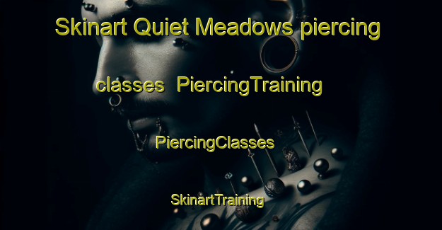 Skinart Quiet Meadows piercing classes | PiercingTraining | PiercingClasses | SkinartTraining-United States