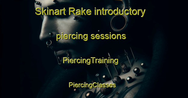 Skinart Rake introductory piercing sessions | PiercingTraining | PiercingClasses | SkinartTraining-United States