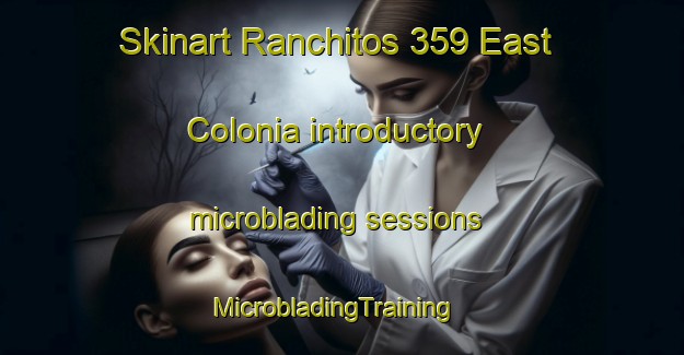 Skinart Ranchitos 359 East Colonia introductory microblading sessions | MicrobladingTraining | MicrobladingClasses | SkinartTraining-United States