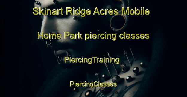 Skinart Ridge Acres Mobile Home Park piercing classes | #PiercingTraining #PiercingClasses #SkinartTraining-United States