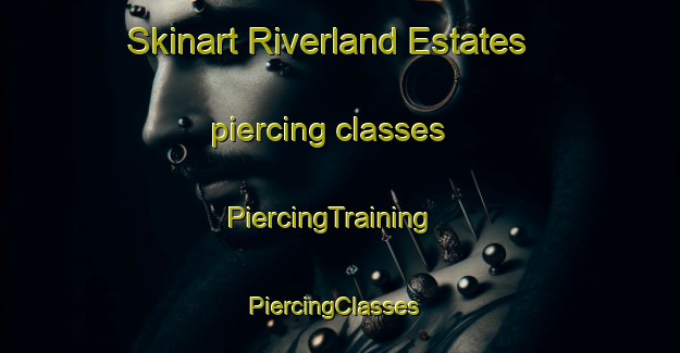 Skinart Riverland Estates piercing classes | PiercingTraining | PiercingClasses | SkinartTraining-United States