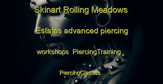 Skinart Rolling Meadows Estates advanced piercing workshops | PiercingTraining | PiercingClasses | SkinartTraining-United States