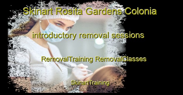 Skinart Rosita Gardens Colonia introductory removal sessions | #RemovalTraining #RemovalClasses #SkinartTraining-United States