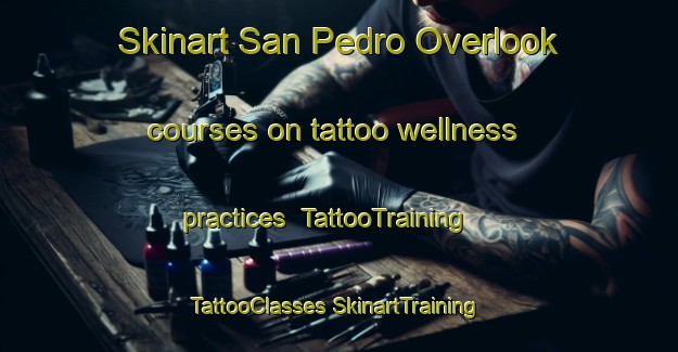 Skinart San Pedro Overlook courses on tattoo wellness practices | #TattooTraining #TattooClasses #SkinartTraining-United States