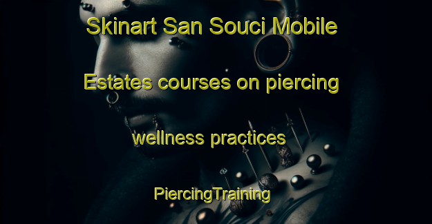 Skinart San Souci Mobile Estates courses on piercing wellness practices | #PiercingTraining #PiercingClasses #SkinartTraining-United States