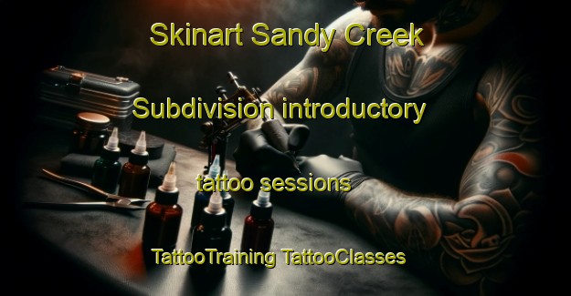 Skinart Sandy Creek Subdivision introductory tattoo sessions | #TattooTraining #TattooClasses #SkinartTraining-United States