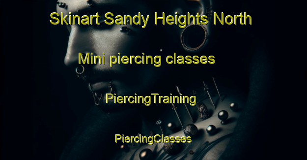 Skinart Sandy Heights North Mini piercing classes | #PiercingTraining #PiercingClasses #SkinartTraining-United States