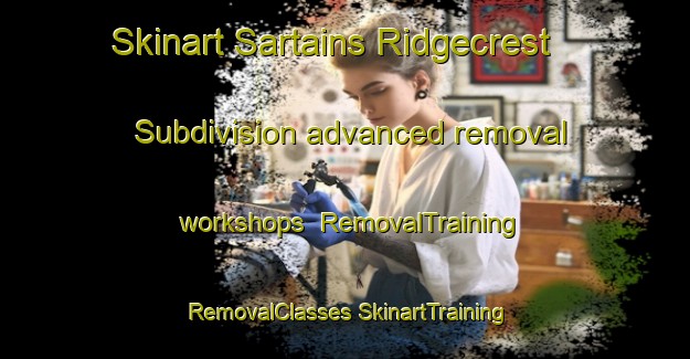 Skinart Sartains Ridgecrest Subdivision advanced removal workshops | #RemovalTraining #RemovalClasses #SkinartTraining-United States