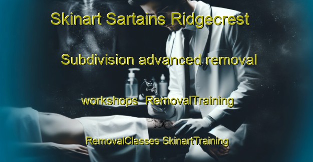 Skinart Sartains Ridgecrest Subdivision advanced removal workshops | #RemovalTraining #RemovalClasses #SkinartTraining-United States