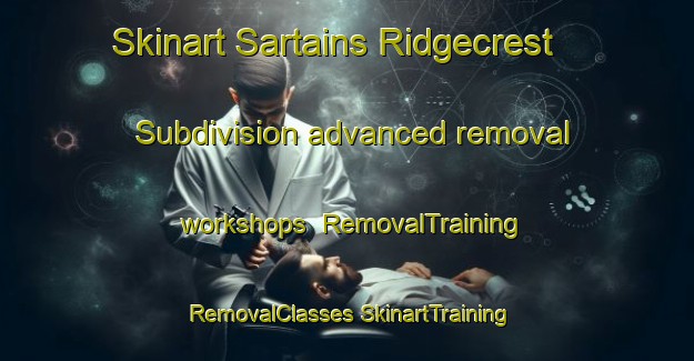 Skinart Sartains Ridgecrest Subdivision advanced removal workshops | #RemovalTraining #RemovalClasses #SkinartTraining-United States