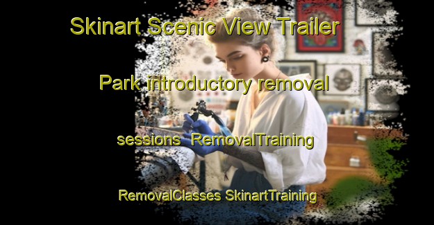 Skinart Scenic View Trailer Park introductory removal sessions | #RemovalTraining #RemovalClasses #SkinartTraining-United States