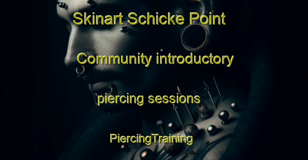 Skinart Schicke Point Community introductory piercing sessions | #PiercingTraining #PiercingClasses #SkinartTraining-United States