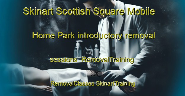 Skinart Scottish Square Mobile Home Park introductory removal sessions | #RemovalTraining #RemovalClasses #SkinartTraining-United States