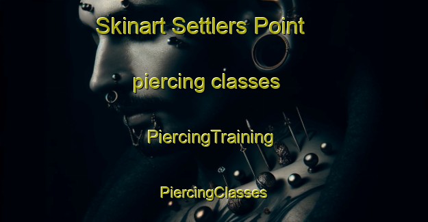 Skinart Settlers Point piercing classes | #PiercingTraining #PiercingClasses #SkinartTraining-United States