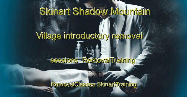 Skinart Shadow Mountain Village introductory removal sessions | #RemovalTraining #RemovalClasses #SkinartTraining-United States