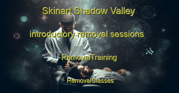 Skinart Shadow Valley introductory removal sessions | RemovalTraining | RemovalClasses | SkinartTraining-United States