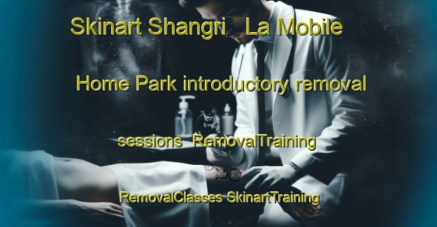 Skinart Shangri   La Mobile Home Park introductory removal sessions | #RemovalTraining #RemovalClasses #SkinartTraining-United States