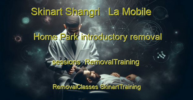 Skinart Shangri   La Mobile Home Park introductory removal sessions | #RemovalTraining #RemovalClasses #SkinartTraining-United States